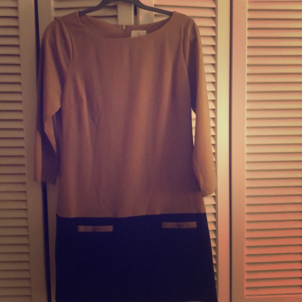 Tan & Black Shift Dress